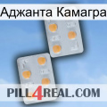 Аджанта Камагра 25